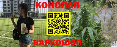 гидропоника Будённовск