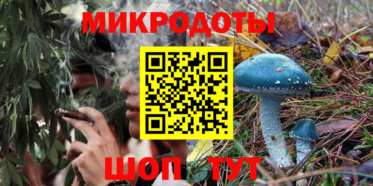 Галлюциногенные грибы Psilocybine cubensis  Вход с VPN  Тимашёвск 